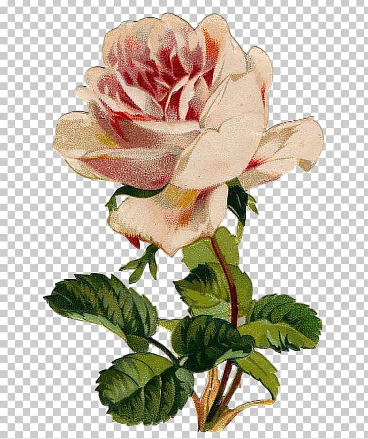 Paper Craft Cross-stitch PNG, Clipart, Bead, China Rose, Craft, Crossstitch, Cut Flowers Free PNG Download