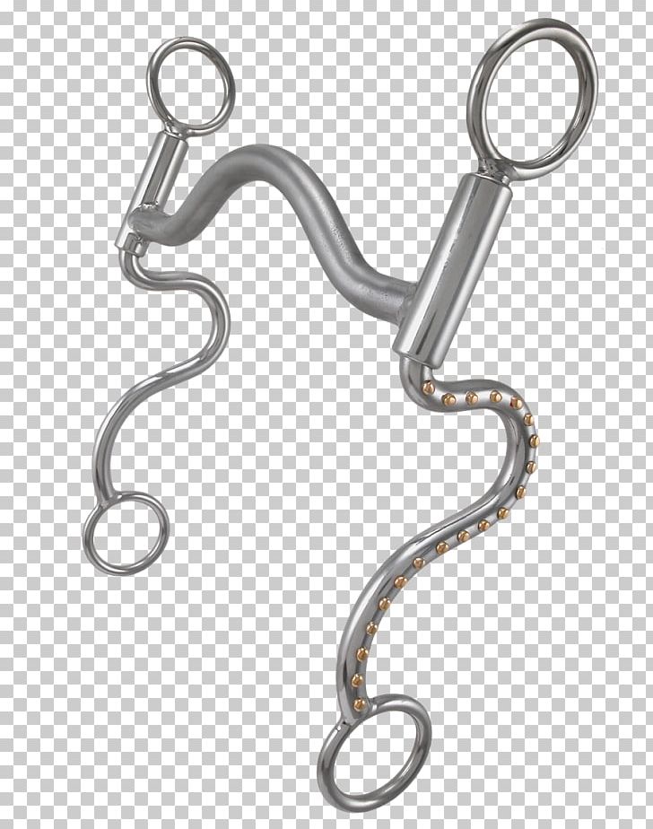 Silver Product Design Body Jewellery PNG, Clipart, Body Jewellery, Body Jewelry, Horse Tack, Jewellery, Metal Free PNG Download