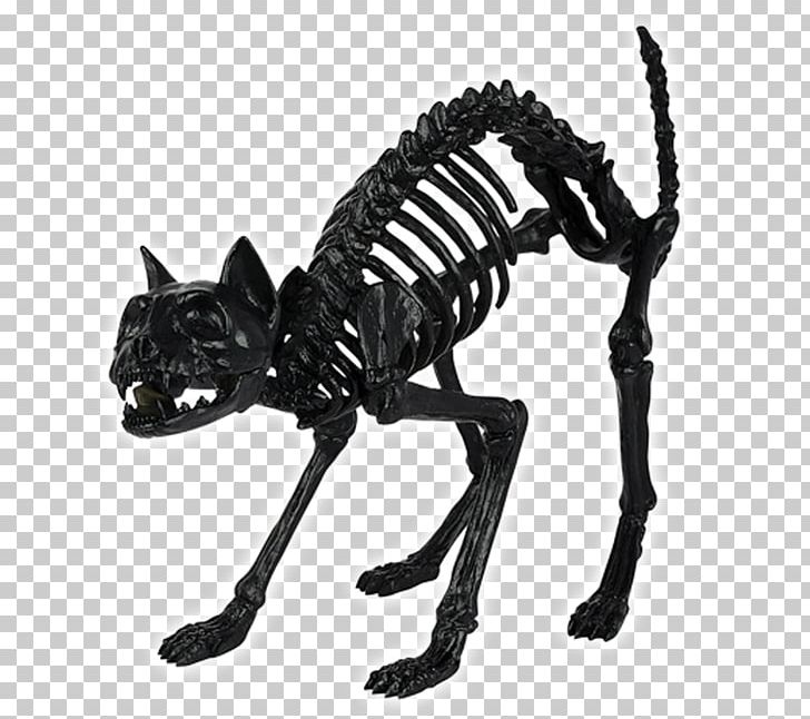 Skull Skeleton Bone Spirit Halloween Cat PNG, Clipart, Animal Figure, Big Cat, Black And White, Bone, Bonez Free PNG Download