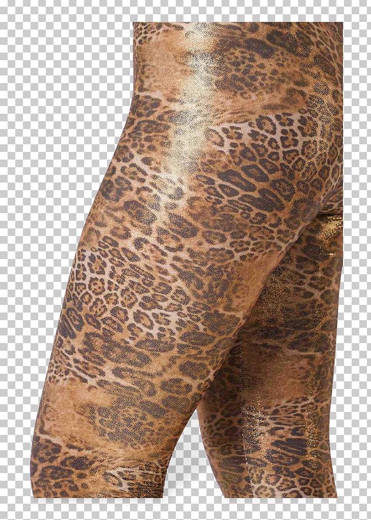 T-shirt Leggings Sisters Point Leopard Woman PNG, Clipart, Blouse, Clothing, Crop Top, Female, Leggings Free PNG Download