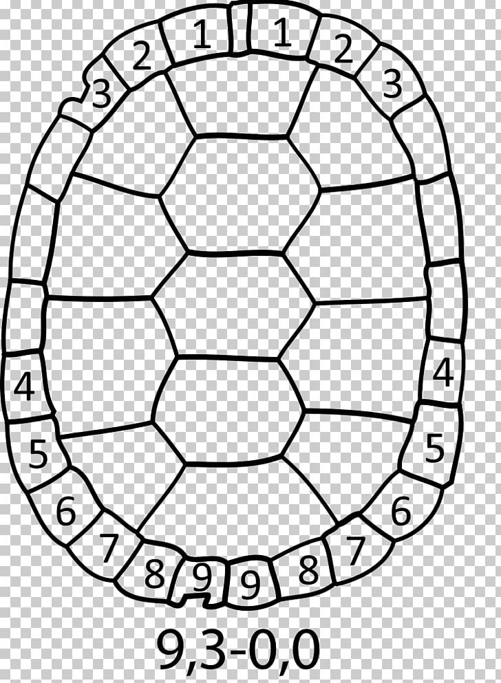 Turtle Shell Drawing Painted Turtle Reptile PNG, Clipart, Area, Ball, Black And White, Circle, Diagram Free PNG Download