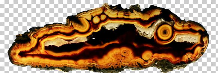 Agate Mineral Gemstone Quartz PNG, Clipart, Agate, Amber, Amulet, Animal, Cabochon Free PNG Download