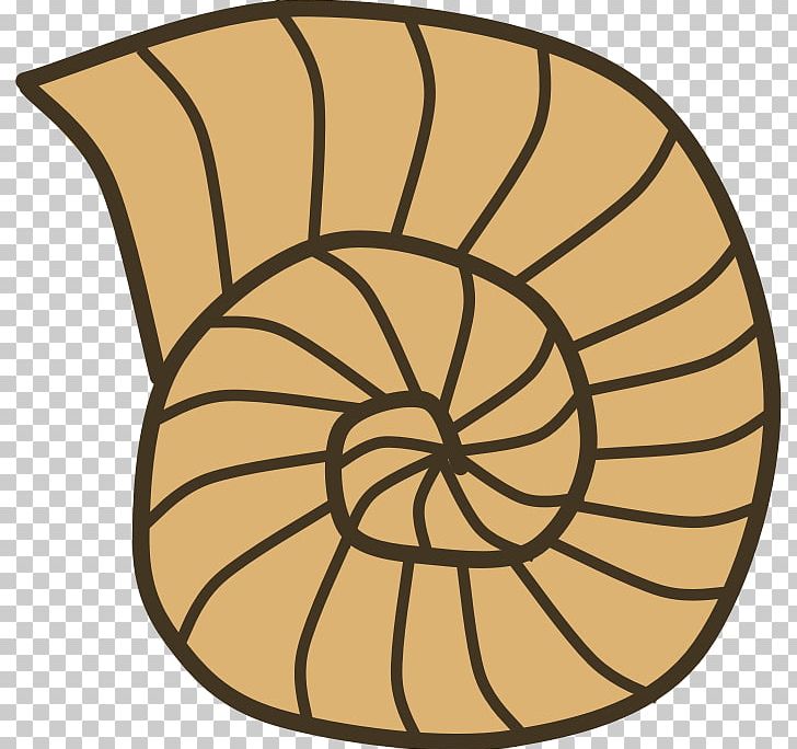 Gastropod Shell Seashell Snail Mollusc Shell PNG, Clipart, Animals, Area, Artwork, Circle, Color Free PNG Download