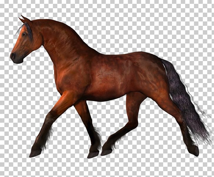 Mustang Stallion PNG, Clipart, Animal Figure, Bridle, Clip Art, Computer Icons, Download Free PNG Download