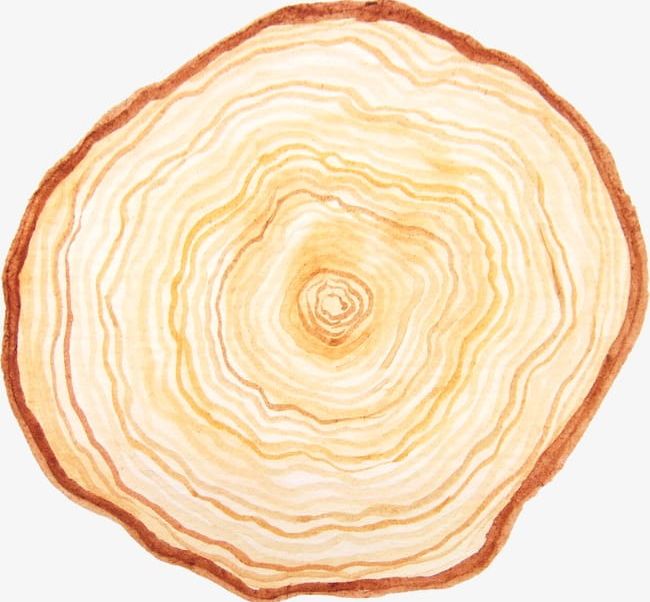 Tree Stump PNG, Clipart, Rings, Stump, Stump Clipart, Stump Clipart, Tree Free PNG Download