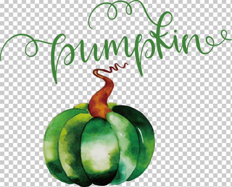 Pumpkin PNG, Clipart, Autumn, Pumpkin Free PNG Download