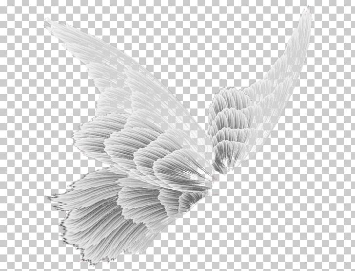 Drawing Airplane PNG, Clipart, Airplane, Angel Wing, Beak, Black And White, Deviantart Free PNG Download