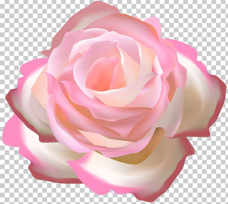 Garden Roses Floral Ornament Transparency Portable Network Graphics PNG, Clipart, Blue, Blue Rose, China Rose, Cut Flowers, Floral Ornament Free PNG Download