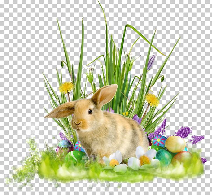 Easter Egg Christmas Paschal Greeting Holiday PNG, Clipart, Centerblog, Christmas, Collage, Domestic Rabbit, Easter Free PNG Download