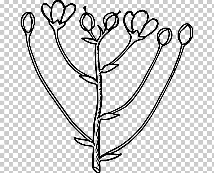 Flower Bud Floral Design PNG, Clipart, Black And White, Body Jewelry, Branch, Bud, Drawing Free PNG Download