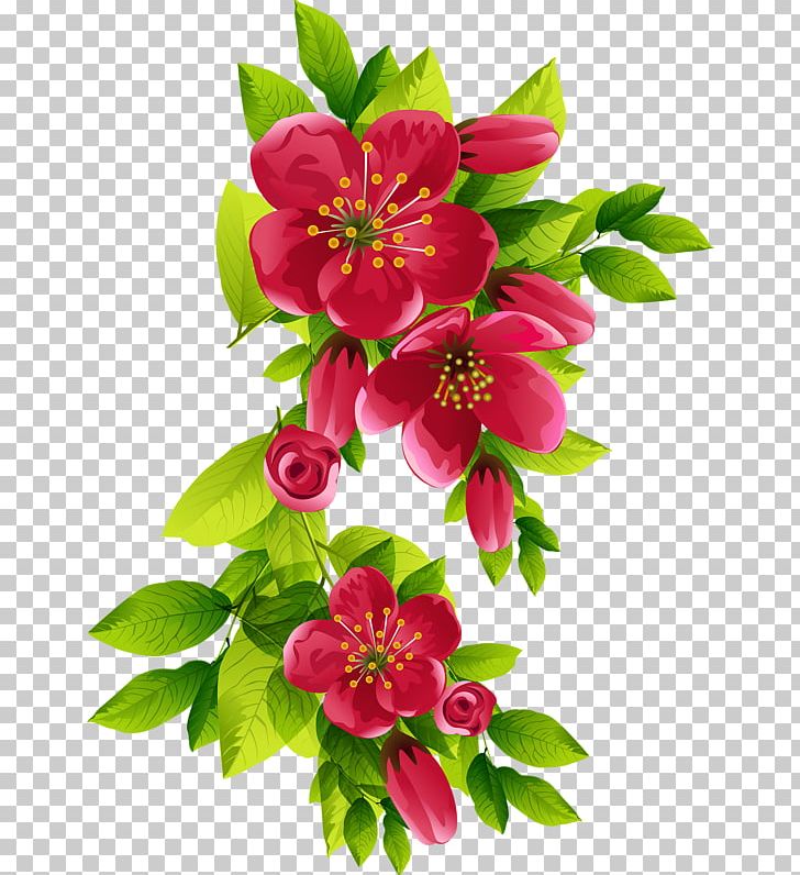 Flower Lilium PNG, Clipart, Alstroemeriaceae, Annual Plant, Blossom, Cut Flowers, Desktop Wallpaper Free PNG Download