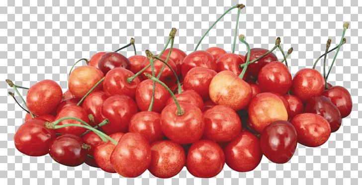 Portable Network Graphics Sweet Cherry File Format PNG, Clipart, Acerola, Acerola Family, Auglis, Bell Peppers And Chili Peppers, Berry Free PNG Download