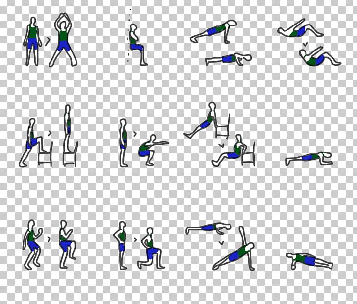 Aerobic Exercise Fitness Centre Weight Training PNG, Clipart, Angle, Animal Figure, Area, Body Jewelry, Bodyweight Exercise Free PNG Download