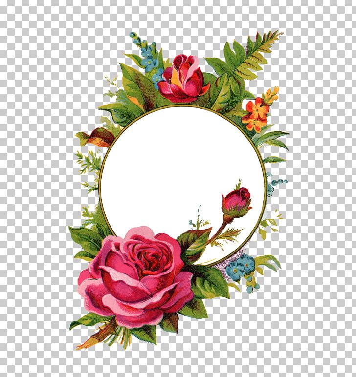 Frames Rose Stock Photography PNG, Clipart, Cut Flowers, Flora, Floral Design, Floristry, Flower Free PNG Download