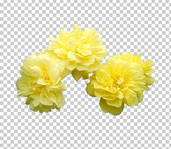 Moutan Peony Flower PNG, Clipart, 3d Computer Graphics, Artificial Flower, Copying, Flower Arranging, Flowering Plant Free PNG Download