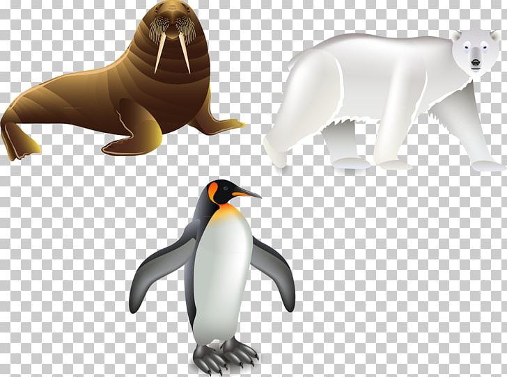 Penguin Euclidean Illustration PNG, Clipart, Animal, Aptenodytes, Beak, Bird, Decorative Elements Free PNG Download