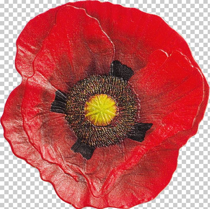 Remembrance Poppy Coin In Flanders Fields Armistice Day PNG, Clipart, Armistice Day, Coin, Commemorative Coin, Common Poppy, Coquelicot Free PNG Download