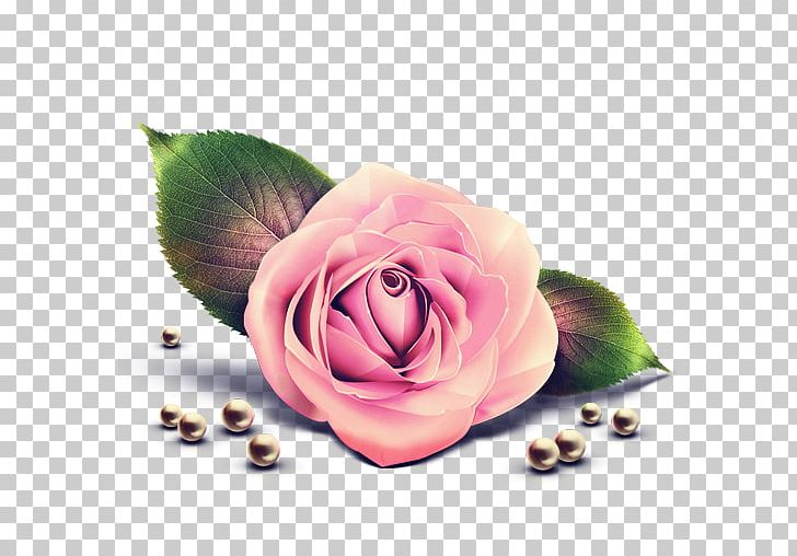 Rose Pink PNG, Clipart, Color Quantization, Computer Wallpaper, Cut Flowers, Floral Design, Flower Free PNG Download