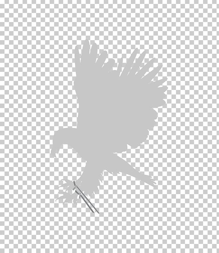 The Taming Of The Shrew Illustration Photograph Graphics PNG, Clipart, Beak, Bird, Bird Of Prey, Black And White, Eagle Free PNG Download