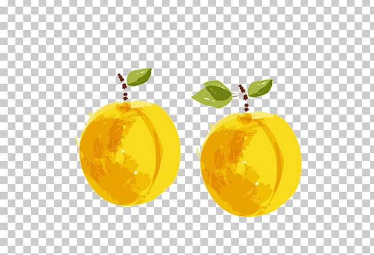 Apricot Citron Tangerine PNG, Clipart, Auglis, Citrus, Encapsulated Postscript, Food, Fruit Free PNG Download