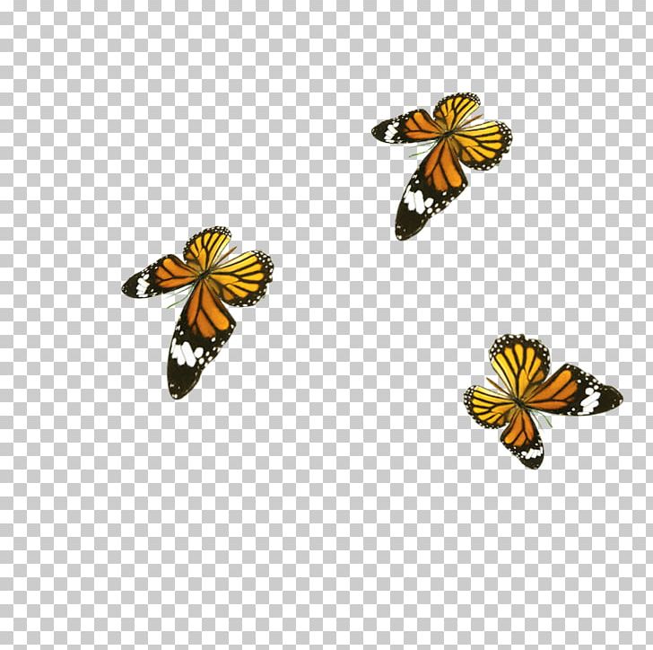 Butterfly Honey Bee PNG, Clipart, Butterflies, Butterfly Group, Chemical Element, Clips, Encapsulated Postscript Free PNG Download