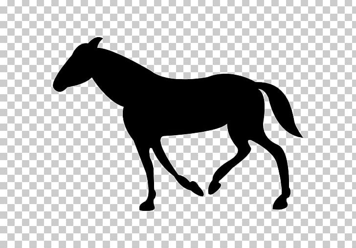 Horse Computer Icons PNG, Clipart, Black And White, Bridle, Colt, Computer Icons, Download Free PNG Download