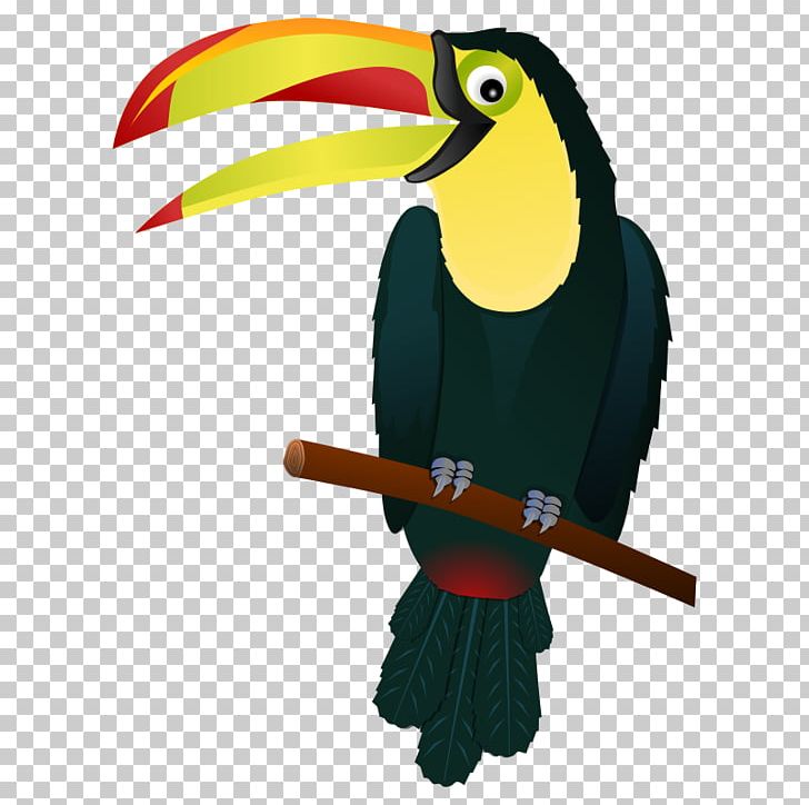 Bird Keel-billed Toucan Snake PNG, Clipart, Beak, Big Bird, Big Bird Clipart, Bird, Cartoon Free PNG Download