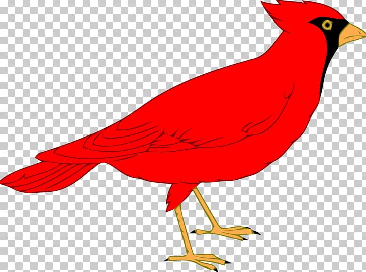cardinal bird clipart