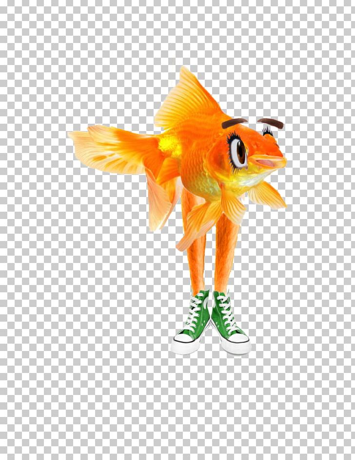 Tail Fish PNG, Clipart, Fish, Orange, Others, Pigpen, Tail Free PNG Download