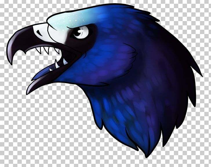 Bird Of Prey Cobalt Blue Beak Feather PNG, Clipart, Animals, Beak, Bird, Bird Of Prey, Blue Free PNG Download