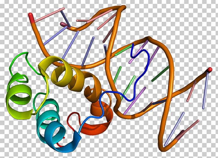 PITX3 Homeobox PITX2 Gene Protein PNG, Clipart, Area, Artwork, Dna, Dna Methylation, Gene Free PNG Download