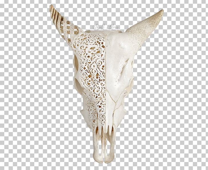 Skull PNG, Clipart, Bone, Fantasy, Jaw, Skull, Xl Horns Free PNG Download