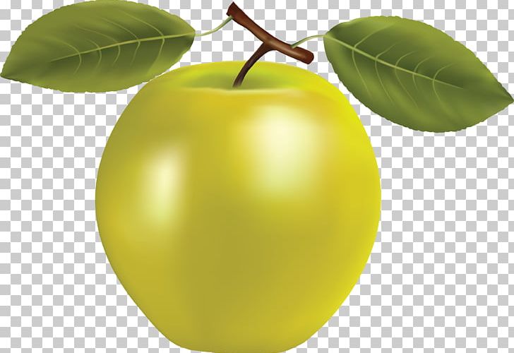 Apple Granny Smith Fruit Icon PNG, Clipart, Apple, Apple Png, Apples, Cameo, Citrus Free PNG Download