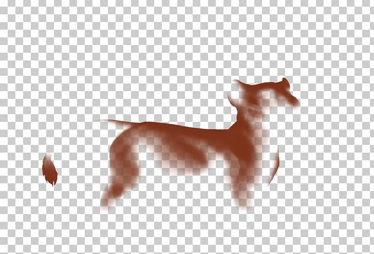 Dog Breed Italian Greyhound Ibizan Hound Puppy PNG, Clipart, Animals, Breed, Carnivoran, Cat, Dog Free PNG Download