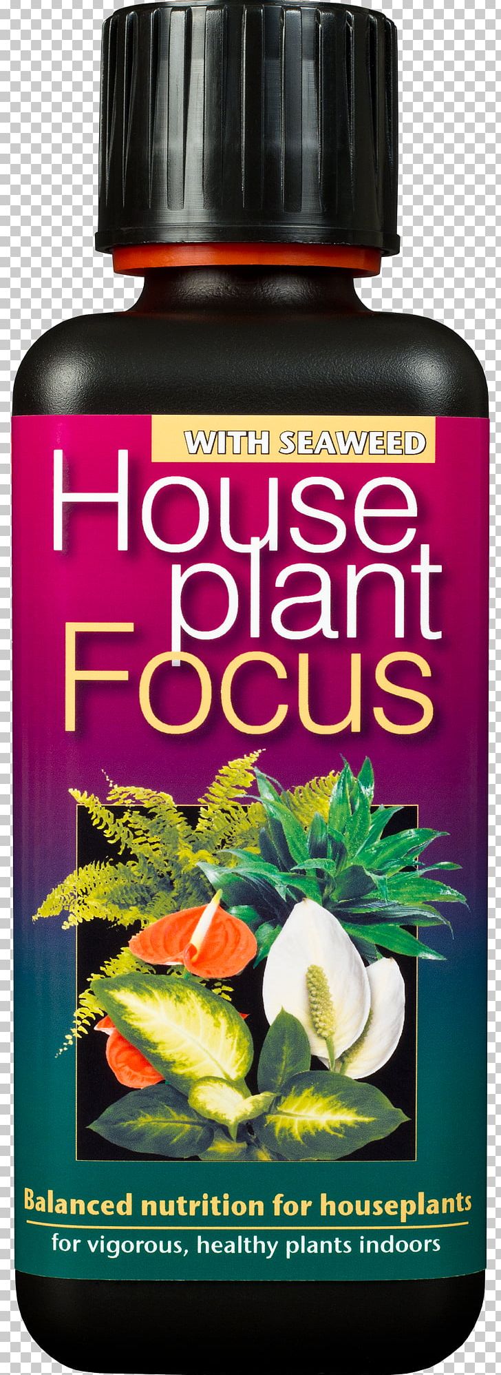 Houseplant Fertilisers Bonsai Nutrient Growth Technology Ltd Palm Focus Concentrated Liquid Fertiliser PNG, Clipart, Baby Bio, Bonsai, Bonsai Cultivation And Care, Fertilisers, Flowerpot Free PNG Download
