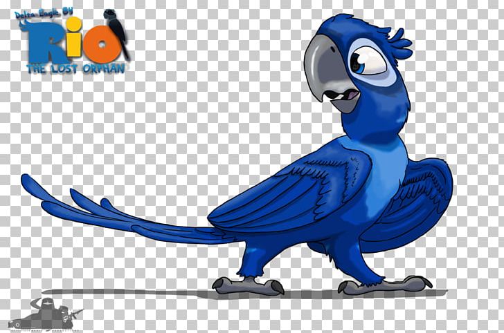 Macaw Blu YouTube Jewel Rio PNG, Clipart,  Free PNG Download