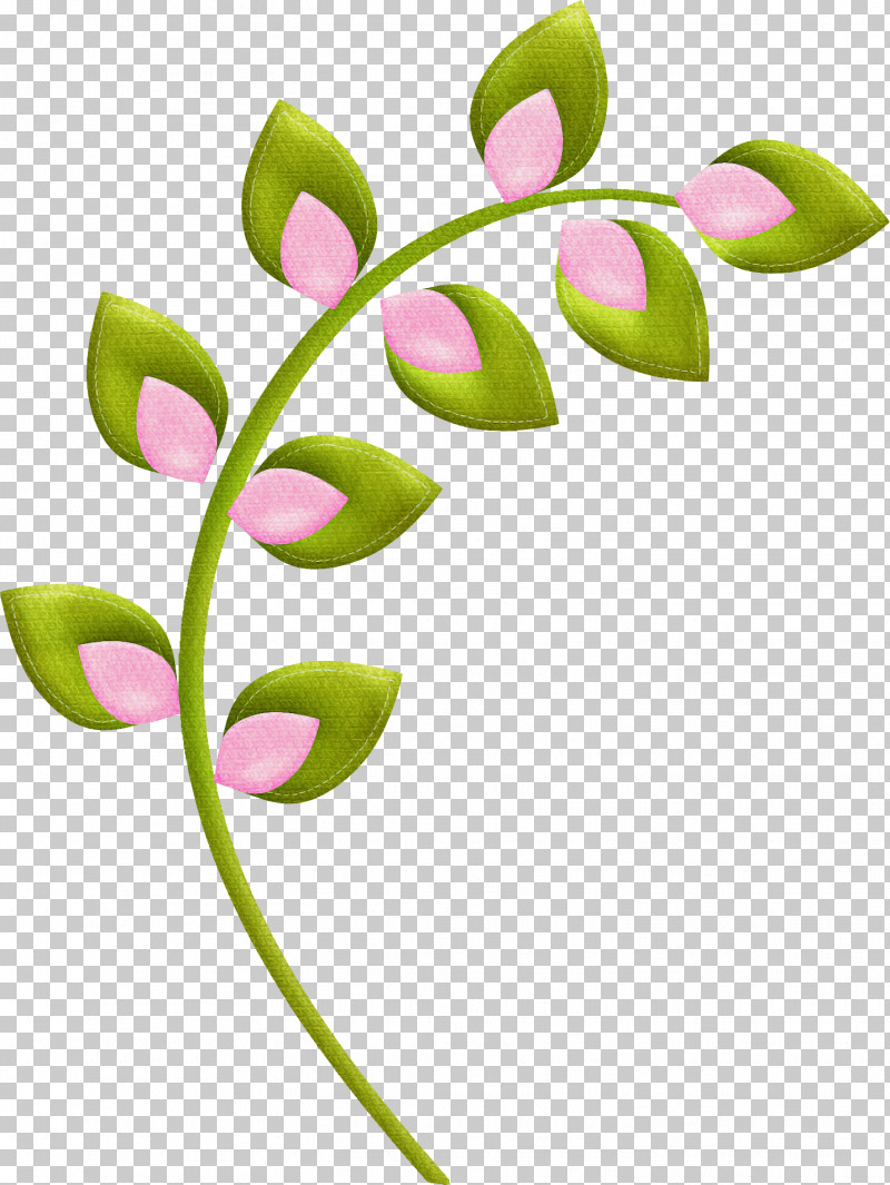 Flower Plant Leaf Pedicel Plant Stem PNG, Clipart, Flower, Leaf, Pedicel, Plant, Plant Stem Free PNG Download
