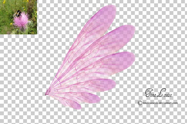Fairy PNG, Clipart, Animation, Color, Computer Icons, Desktop Wallpaper, Digital Media Free PNG Download