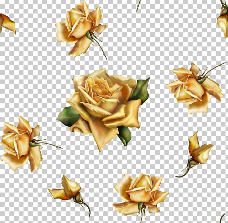 Flower Beach Rose Gold PNG, Clipart, Beach Rose, Floral Design, Floristry, Flower, Flowering Plant Free PNG Download