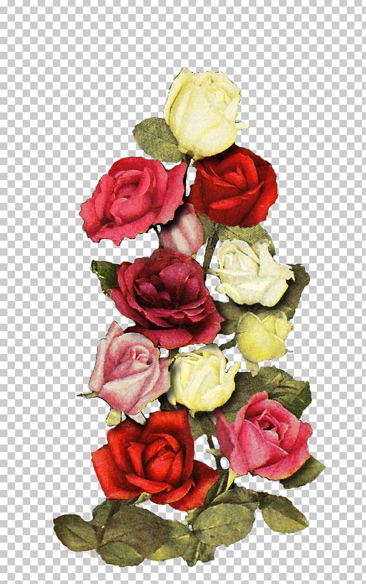Garden Roses Cabbage Rose Floral Design Cut Flowers PNG, Clipart, Artificial Flower, Ceremony, Cut Flowers, Floral Design, Floristry Free PNG Download