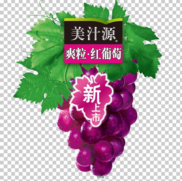 Its Grape Logo PNG, Clipart, Atmosphere, Food, Fruit, Grape, Grape Seed Extract Free PNG Download