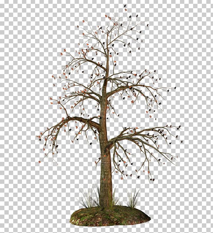 Portable Network Graphics Tree Trunk PNG, Clipart, Bonsai, Branch, Christmas Tree, Computer Icons, Dead Free PNG Download