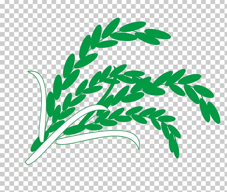 Rice Wheat PNG, Clipart, Artworks, Branch, Download, Encapsulated Postscript, Flora Free PNG Download