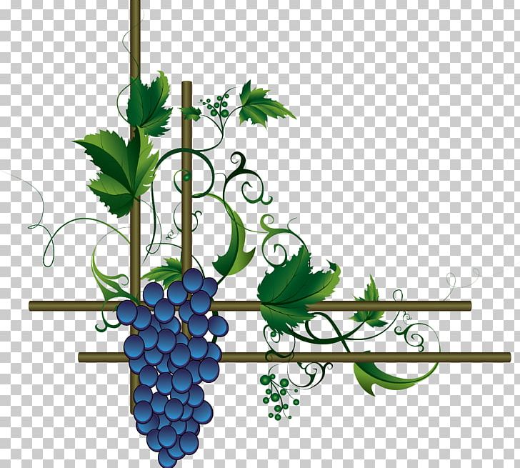 Wine Grape Leaves Merlot PNG, Clipart, Branch, Common Grape Vine, Encapsulated Postscript, Floral Design, Flower Free PNG Download