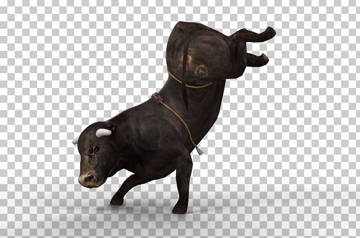 Cattle Professional Bull Riders Ox Bull Riding PNG, Clipart, 8 Seconds, Animals, Asteroid, Built Ford Tough Series, Bull Free PNG Download