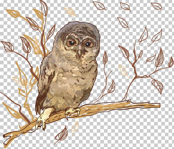Great Grey Owl Tawny Owl PNG, Clipart, Animals, Beak, Bird, Bird Of Prey, Drawing Free PNG Download