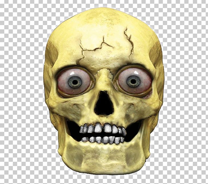Human Skull Symbolism Head Human Skeleton PNG, Clipart, Bone, Child, Drawing, Face, Fantasy Free PNG Download