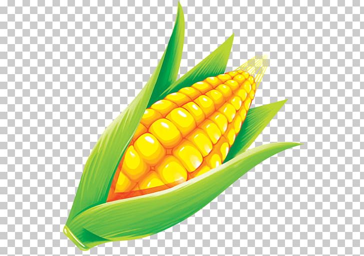 Maize Grauds PNG, Clipart, Cartoon, Corn, Corn Kernel, Corn On The Cob, Crop Free PNG Download