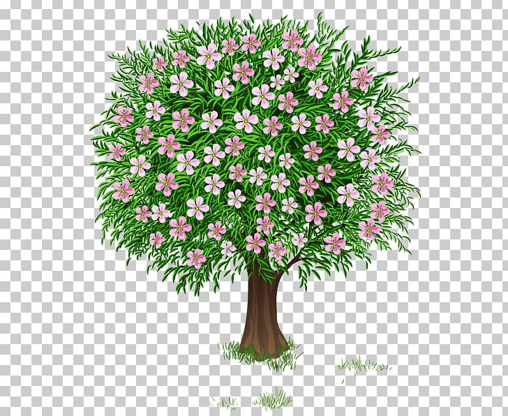 Tree Shrub PNG, Clipart, Autumn, Blossom, Branch, Clip Art, Cut Flowers Free PNG Download