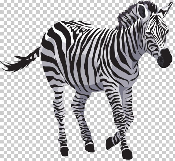 Zebra Quagga PNG, Clipart, Animal Figure, Animals, Big Cats, Black And White, Clip Art Free PNG Download